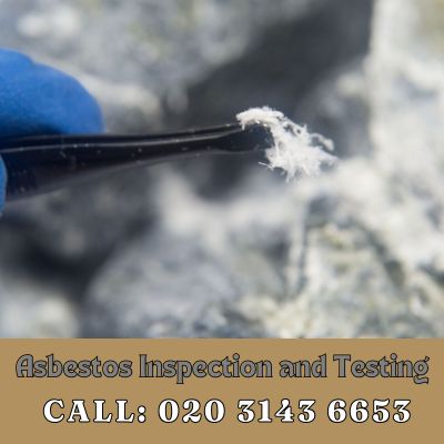 Comprehensive Asbestos Inspection and Testing Services in Stepney